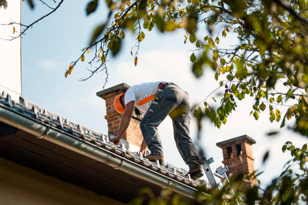 Best Roof Leak Repair  in Mcnair, VA