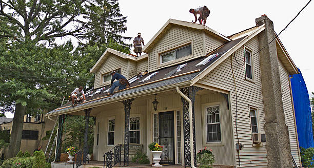 Best Roof Maintenance Services  in Mcnair, VA
