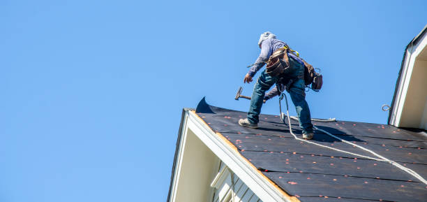 Best Roof Restoration Services  in Mcnair, VA